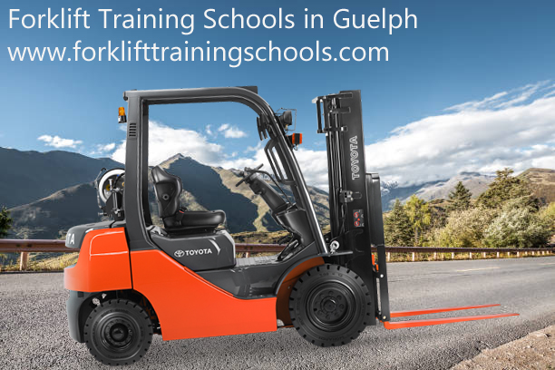 Forklift Training Schools In Guelph